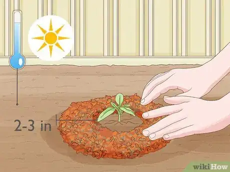 Image titled What Mulch Is Good for a Vegetable Garden Step 11