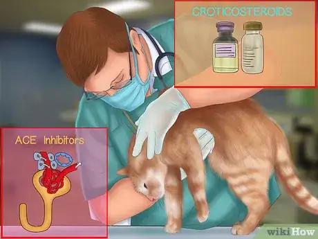 Image titled Treat Heartworm Disease in Cats Step 5