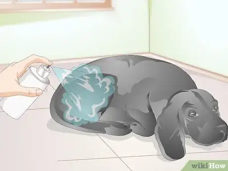 Image titled Brush Your Dog Without Tickling It Step 6