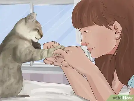 Image titled Socialize Your Kitten Step 6