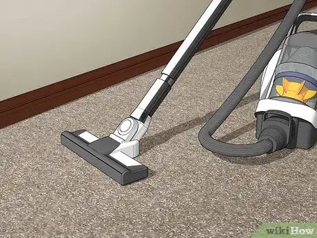 Image titled Keep Hobo Spiders Out of the House Step 7