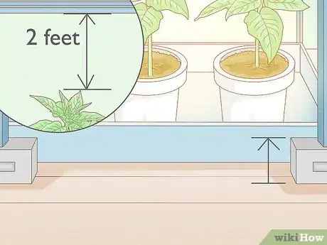 Image titled Grow Tobacco Inside Step 17