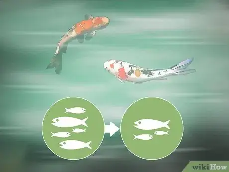 Image titled Control Green Pond Water Problems Step 12