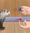 Train a Ferret