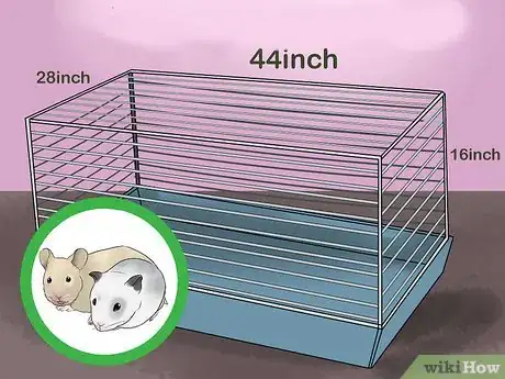 Image titled Choose Hamster Housing and Bedding Step 5