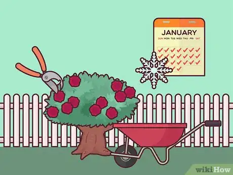 Image titled Save a Dying Rose Bush Step 5