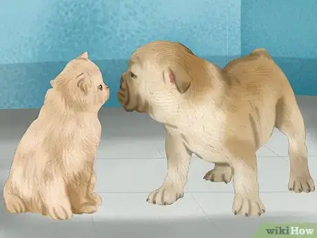 Image titled Make a Cat and Dog Get Along Step 9