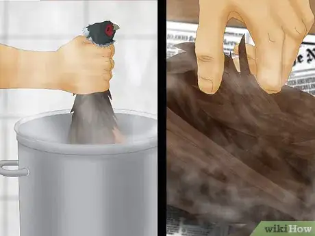 Image titled Pluck a Pheasant Step 17