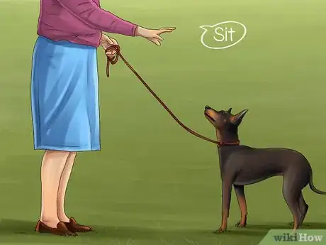 Image titled Train a Manchester Terrier Step 8