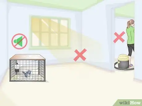 Image titled Help Your Chinchilla Adjust to its New Home Step 1