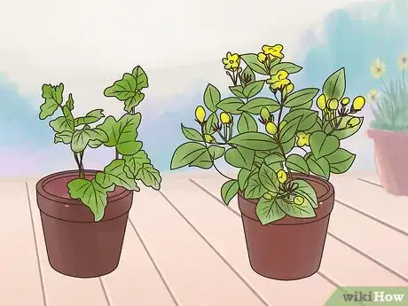 Image titled Manage a Balcony Garden Step 5