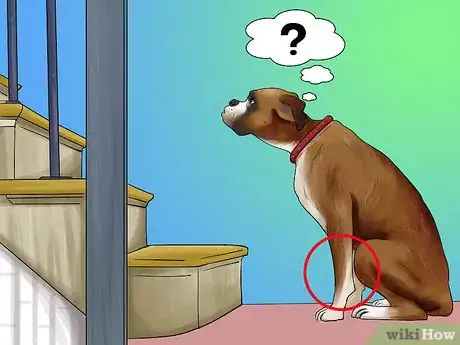Image titled Watch a Dog for Stiff or Limp Movements Step 3