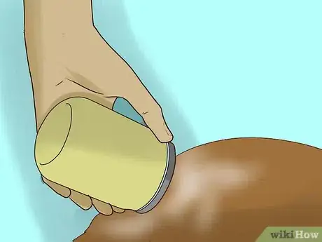 Image titled Groom an Angora Rabbit Step 10