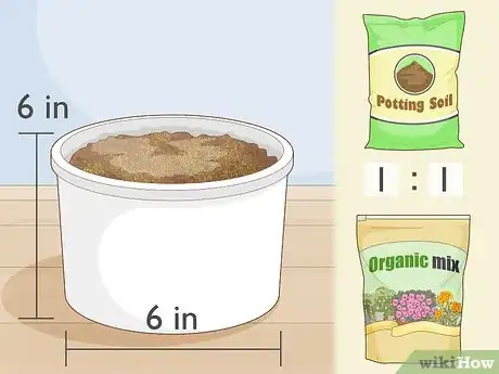 Image titled Grow a Noni Tree Step 10