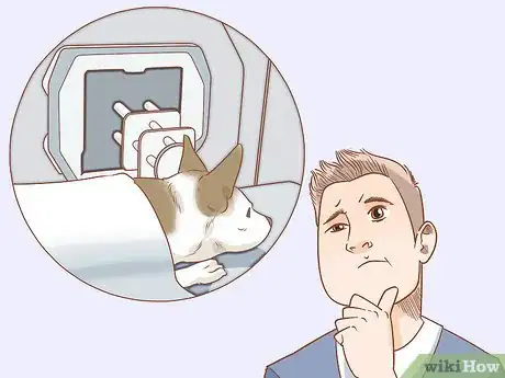 Image titled Treat Endocrine Disorders in Older Dogs Step 12