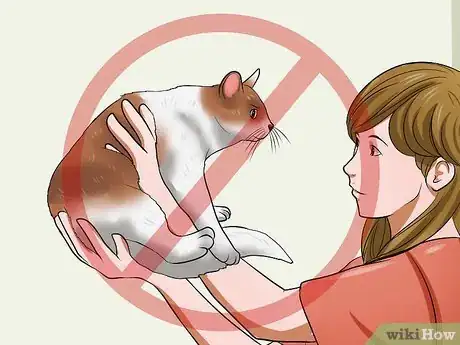 Image titled Keep a Cat Calm During Fireworks Step 3