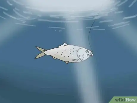 Image titled Catch Big Snapper and Grouper in Pensacola Bay Step 5