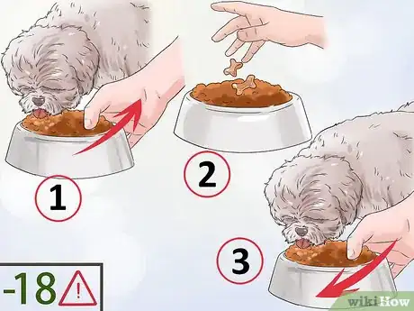 Image titled Get Your Dog to Stop Growling at You when Eating Step 4