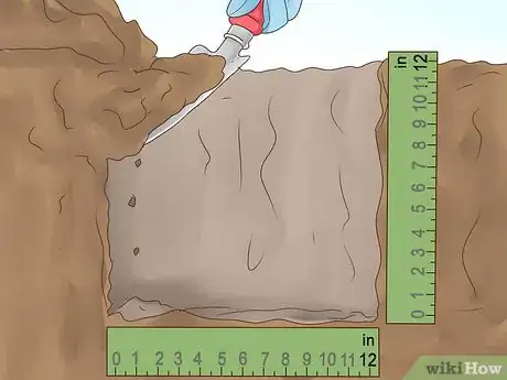 Image titled Grow Cinnamon Step 7