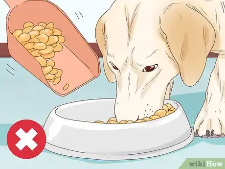 Image titled Tell if a Dog Is Pregnant Step 3