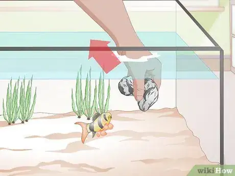 Image titled Do a Water Change in a Freshwater Aquarium Step 4