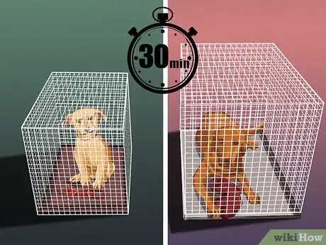 Image titled Introduce a Puppy to a Dog Step 17