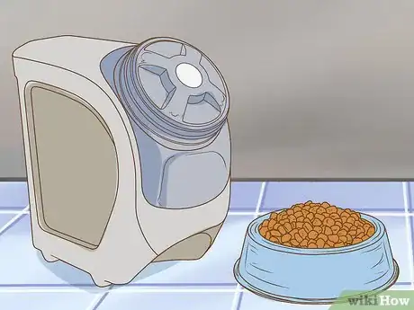 Image titled Keep Birds Away from Dog Food Step 6