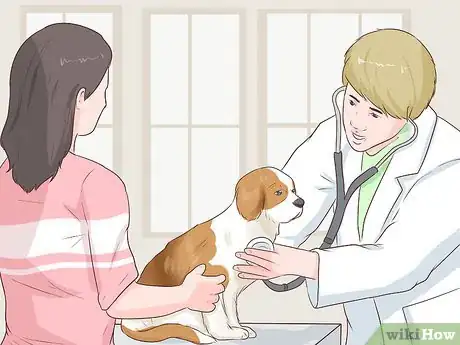 Image titled Be Prepared for the Arrival of Puppies Step 10