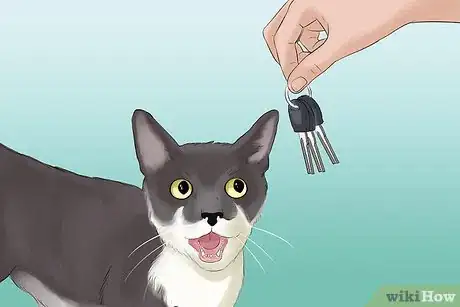 Image titled Take Photos of Adoptable Cats Step 6