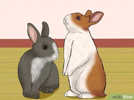 Image titled Know if You're Ready to Care for a Bunny Step 7