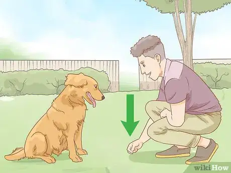 Image titled Teach Your Dog to Duck Step 2