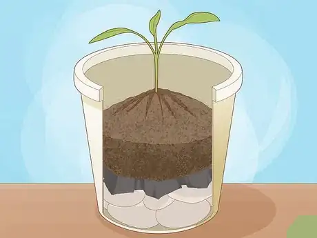 Image titled Use Horticultural Charcoal Step 6