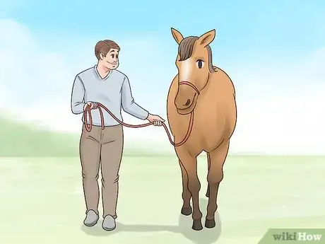 Image titled Handle Hind Leg Problems in Horses Step 9