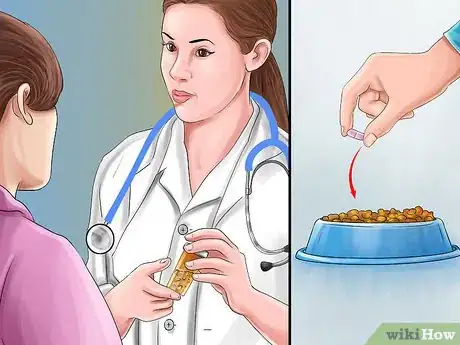 Image titled Give Serotonin (5 Ht) Agonists to a Cat Step 2