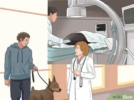 Image titled Treat Heart Conditions in Doberman Pinschers Step 12