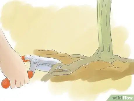 Image titled Prune a Trumpet Vine Step 3