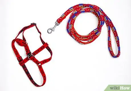 Image titled Take a Cat for a Walk Step 1