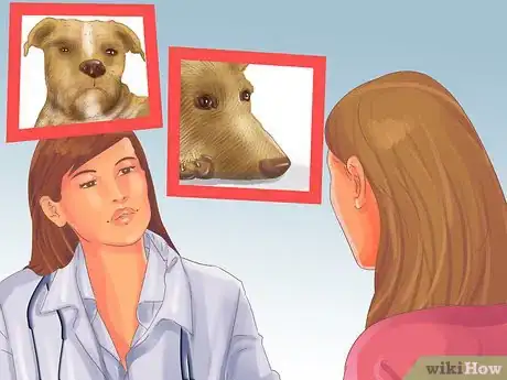 Image titled Manage Aggression in Older Dogs Step 9