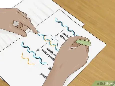 Image titled Study Effectively for Biology Finals Step 9