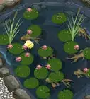 Make a Pond