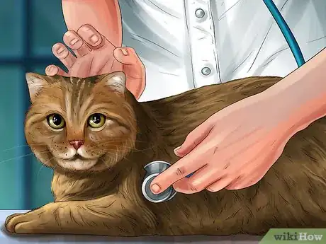 Image titled Diagnose and Treat Ear Infections in Cats Step 6