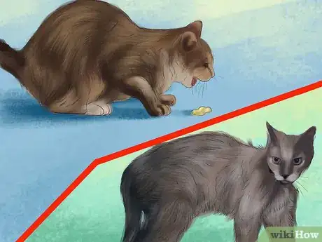 Image titled Spot Feline Diabetes Step 7