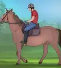 Prepare to Ride a Horse