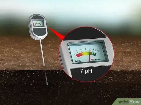 Image titled Grow Tiger Lilies Step 3