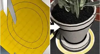 Remove Ants from Potted Plants