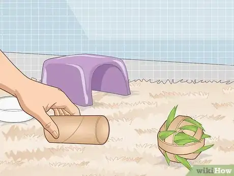 Image titled Ensure a Happy Life for Your Guinea Pig Step 9
