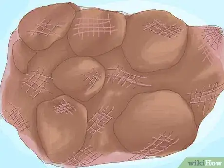 Image titled Cure Daffodil Bulbs for Replanting Step 7