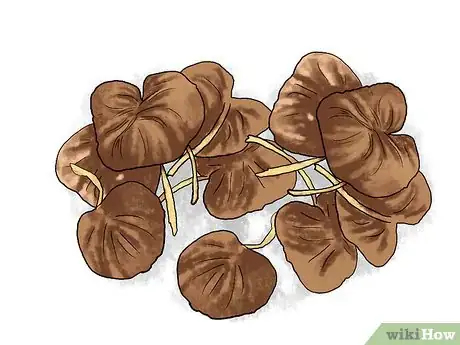 Image titled Grow Geraniums in Pots Step 19