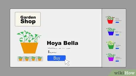 Image titled Grow Hoya Bella (Miniature Wax Plant) Step 2