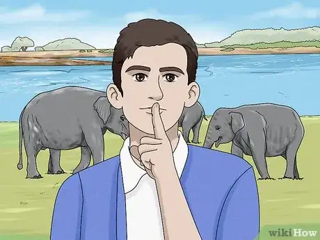 Image titled See Elephants in Sri Lanka Step 7